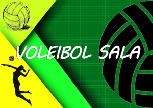 VOLEIBOL SALA